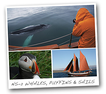 NS2 postcard