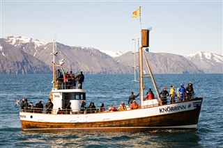 Knörrinn