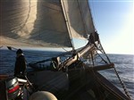 Schooner Opal