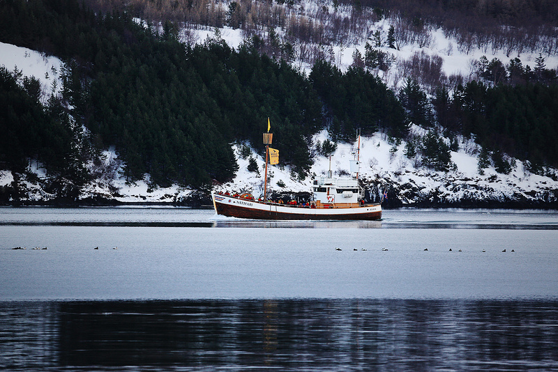 North_Sailing_boat_Akureyri