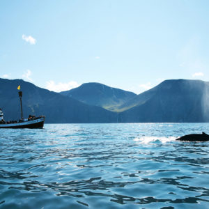 Schöner Sommertag in der Skjálfandi-Bucht Schöner Sommertag in der Skjálfandi-Bucht