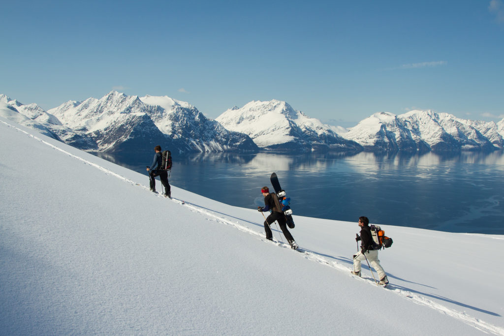 Three Skiers Carrying Their Gear To the Top of Nordmannviktinden Lyngen in Northern Norway. Gracious Mountains and Water in the Background. Snow Everywhere