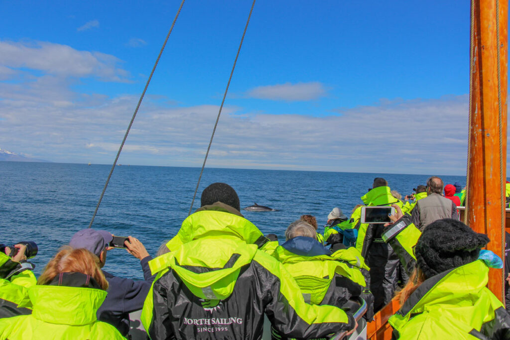 easter whale watching húsavík passengers seeing whale for the first time. they are wearing yellow overalls to prevent them from being cold