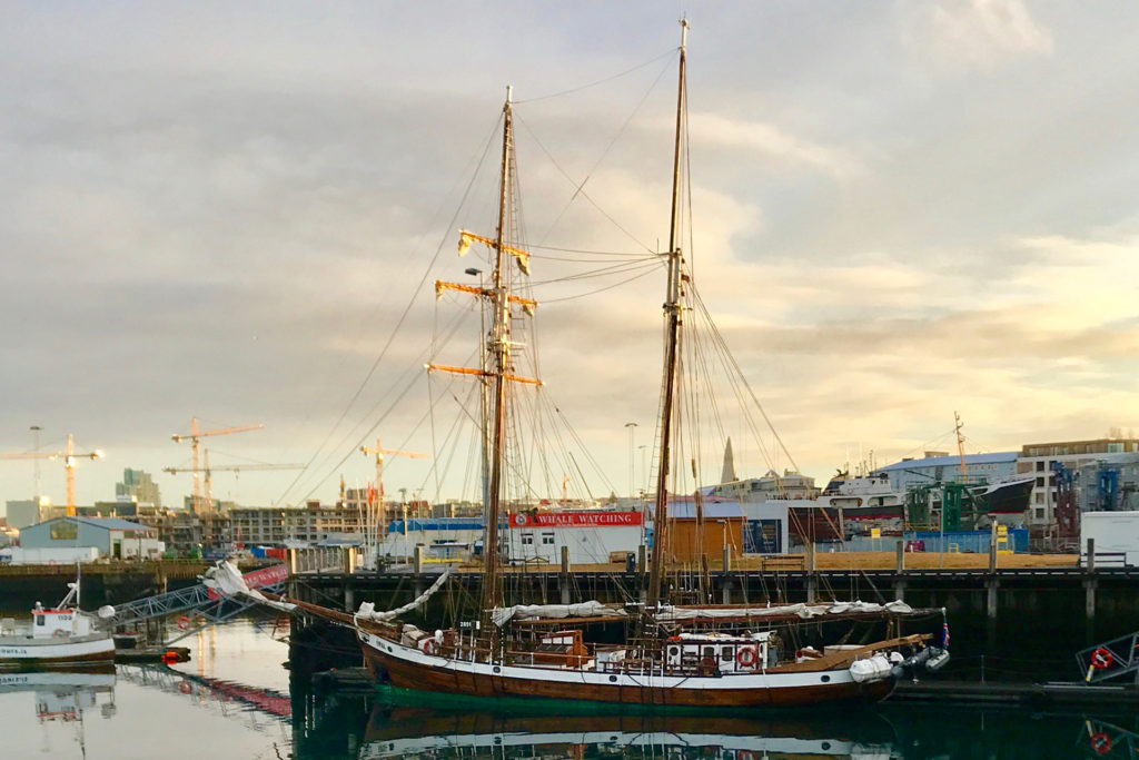 Opal by Reykjavik harbour