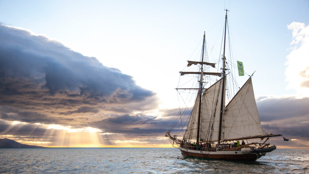 Schooner Opal heading out in the evening sun