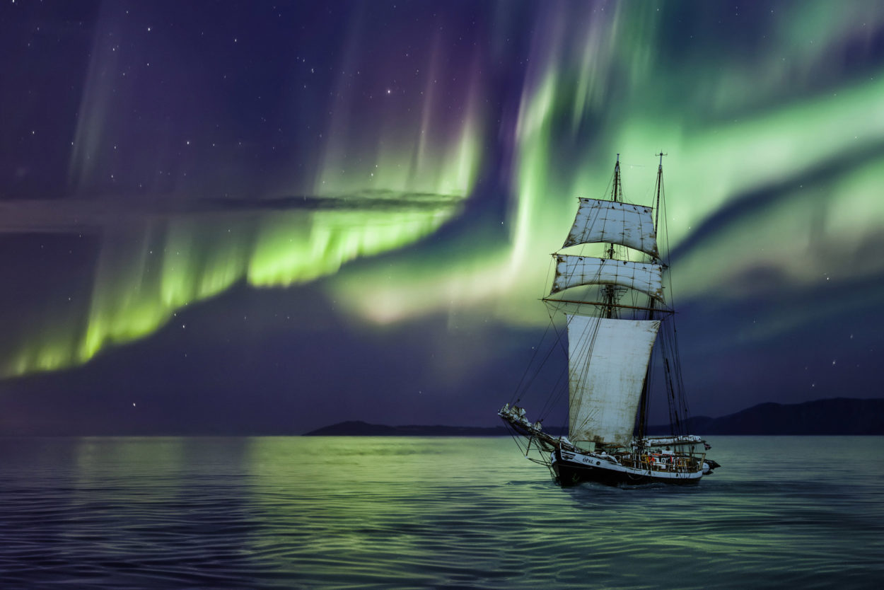 Whale Watching Tours in Iceland with North Sailing