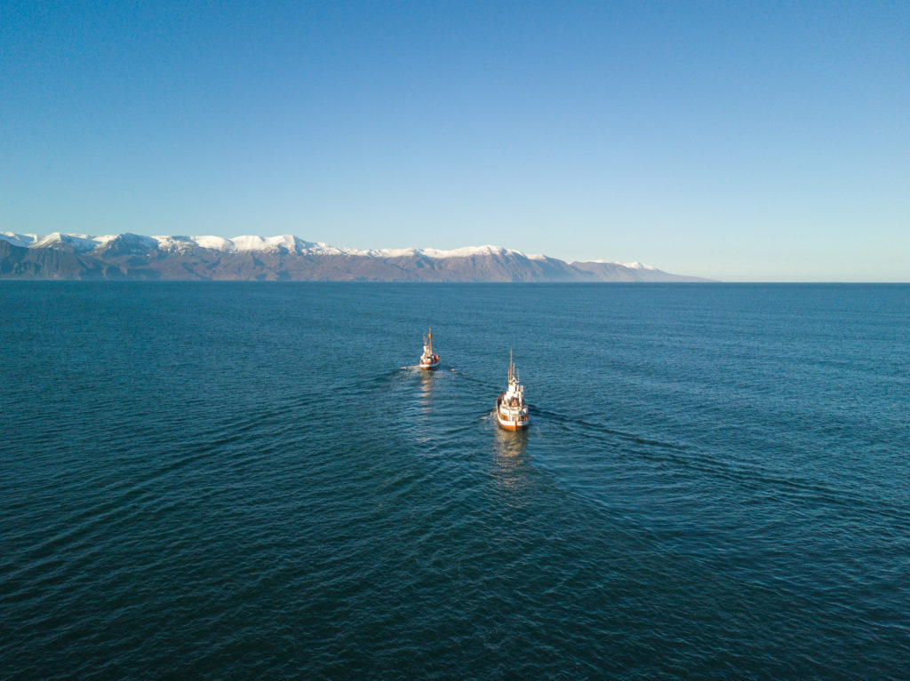 Náttfari and Garðar sailing into Skjálfandi Bay