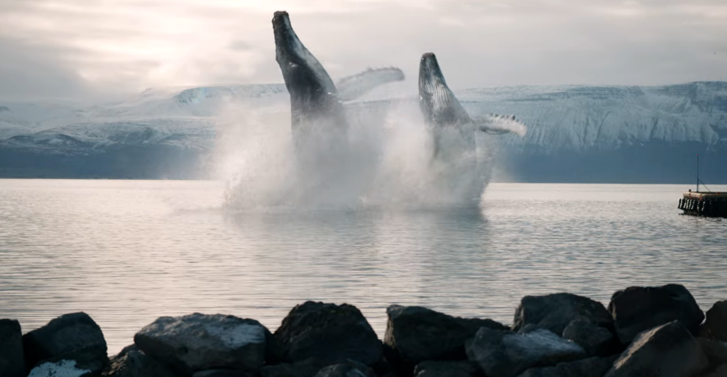Screenshot from the whale breaching scene © Netflix