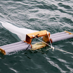 Probe aus dem Meer genommen © Erica Cirino