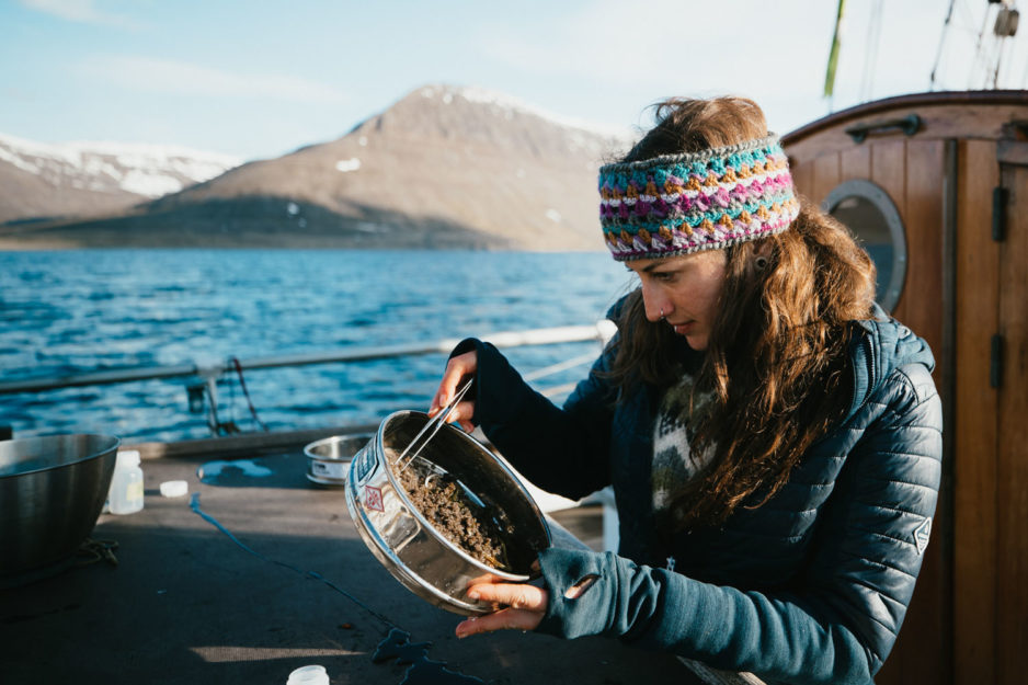 Auswertung der Proben © Ása Steinars